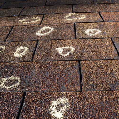 hail damage documented on a shingle roof